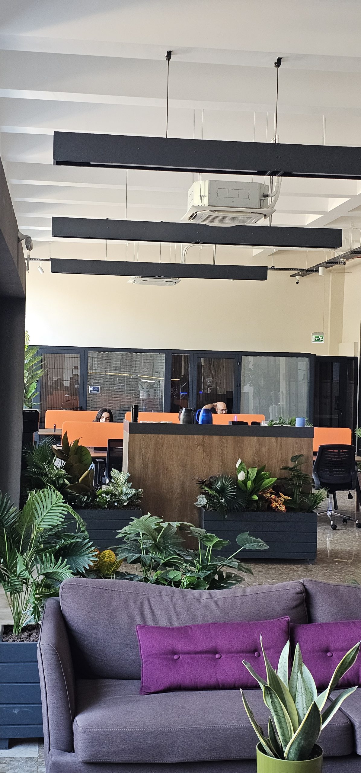 Ortak Ofis
